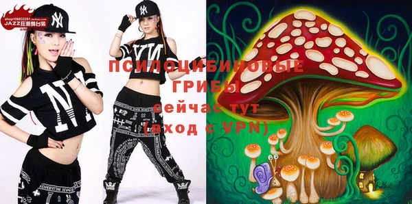 Альфа ПВП Вяземский